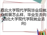 西北大学现代学院毕业后就业前景怎么样，毕业生去向(西北大学现代学院就业去向)