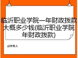 临沂职业学院一年财政拨款大概多少钱(临沂职业学院年财政拨款)