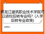 黑龙江建筑职业技术学院可以进校后转专业吗？(入学后转专业政策)