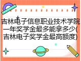 吉林电子信息职业技术学院一年奖学金最多能拿多少(吉林电子奖学金最高额度)