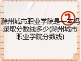 滁州城市职业学院是一本吗录取分数线多少(滁州城市职业学院分数线)