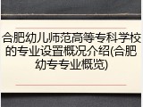 合肥幼儿师范高等专科学校的专业设置概况介绍(合肥幼专专业概览)