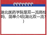 湖北医药学院是双一流高校吗，简单介绍(湖北双一流？)