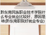 黔东南民族职业技术学院什么专业就业比较好，原因是啥(黔东南职院好就业专业)