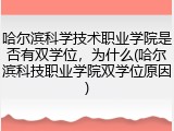 哈尔滨科学技术职业学院是否有双学位，为什么(哈尔滨科技职业学院双学位原因)