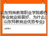 山东特殊教育职业学院哪些专业就业前景好，为什么(山东特教就业优势专业)
