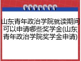 山东青年政治学院就读期间可以申请哪些奖学金(山东青年政治学院奖学金申请)