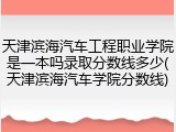 天津滨海汽车工程职业学院是一本吗录取分数线多少(天津滨海汽车学院分数线)