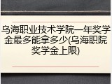 乌海职业技术学院一年奖学金最多能拿多少(乌海职院奖学金上限)