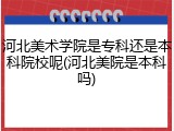 河北美术学院是专科还是本科院校呢(河北美院是本科吗)