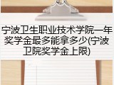 宁波卫生职业技术学院一年奖学金最多能拿多少(宁波卫院奖学金上限)