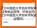辽宁中医药大学杏林学院有没有就业指导，好就业吗(辽宁中医药大学杏林学院就业情况)