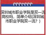 深圳城市职业学院是双一流高校吗，简单介绍(深圳城市职业学院双一流？)