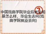 中国戏曲学院毕业后就业前景怎么样，毕业生去向(戏曲学院就业去向)