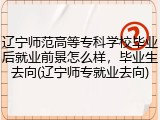 辽宁师范高等专科学校毕业后就业前景怎么样，毕业生去向(辽宁师专就业去向)