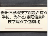 贵阳信息科技学院是否有双学位，为什么(贵阳信息科技学院双学位原因)