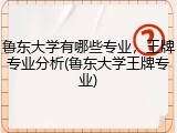 鲁东大学有哪些专业，王牌专业分析(鲁东大学王牌专业)