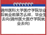 锦州医科大学医疗学院毕业后就业前景怎么样，毕业生去向(锦州医大医疗学院就业去向)