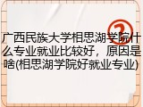 广西民族大学相思湖学院什么专业就业比较好，原因是啥(相思湖学院好就业专业)