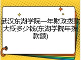 武汉东湖学院一年财政拨款大概多少钱(东湖学院年拨款额)