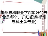 郴州思科职业学院最好的专业是哪个，详细阐述(郴州思科王牌专业)