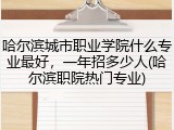 哈尔滨城市职业学院什么专业最好，一年招多少人(哈尔滨职院热门专业)