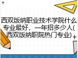 西双版纳职业技术学院什么专业最好，一年招多少人(西双版纳职院热门专业)