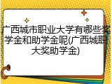 广西城市职业大学有哪些奖学金和助学金呢(广西城职大奖助学金)