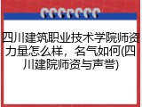 四川建筑职业技术学院师资力量怎么样，名气如何(四川建院师资与声誉)