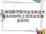 上海戏剧学院毕业生就业大致去向如何(上戏毕业生就业去向)