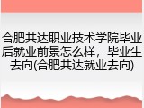 合肥共达职业技术学院毕业后就业前景怎么样，毕业生去向(合肥共达就业去向)