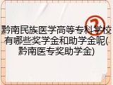 黔南民族医学高等专科学校有哪些奖学金和助学金呢(黔南医专奖助学金)