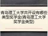 青岛理工大学共开设有哪些类型奖学金(青岛理工大学奖学金类型)