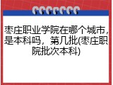 枣庄职业学院在哪个城市，是本科吗，第几批(枣庄职院批次本科)