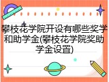 攀枝花学院开设有哪些奖学和助学金(攀枝花学院奖助学金设置)