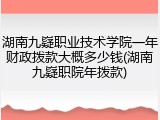 湖南九嶷职业技术学院一年财政拨款大概多少钱(湖南九嶷职院年拨款)