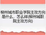 柳州城市职业学院主攻方向是什么，怎么样(柳州城职院主攻方向)