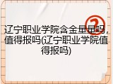 辽宁职业学院含金量量吗，值得报吗(辽宁职业学院值得报吗)