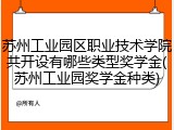 苏州工业园区职业技术学院共开设有哪些类型奖学金(苏州工业园奖学金种类)