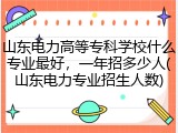 山东电力高等专科学校什么专业最好，一年招多少人(山东电力专业招生人数)