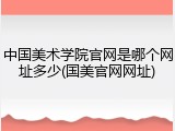 中国美术学院官网是哪个网址多少(国美官网网址)