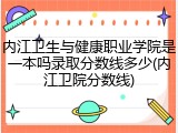 内江卫生与健康职业学院是一本吗录取分数线多少(内江卫院分数线)