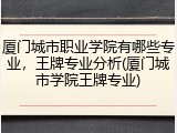 厦门城市职业学院有哪些专业，王牌专业分析(厦门城市学院王牌专业)