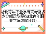 湖北青年职业学院高考需多少分能录取呢(湖北青年职业学院录取分数)