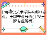上海视觉艺术学院有哪些专业，王牌专业分析(上视王牌专业解析)