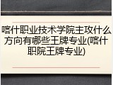 喀什职业技术学院主攻什么方向有哪些王牌专业(喀什职院王牌专业)