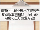 湖南化工职业技术学院哪些专业就业前景好，为什么(湖南化工好就业专业)