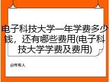 电子科技大学一年学费多少钱，还有哪些费用(电子科技大学学费及费用)