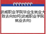 武威职业学院毕业生就业大致去向如何(武威职业学院就业去向)