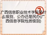 广西信息职业技术学院是什么级别，公办还是民办(广西信息学院性质级别)